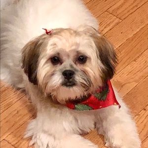 Meet your Posher, Andrus